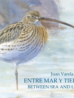 Entre Mar y Tierra / Between Sea and Land book cover image